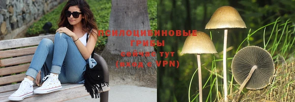 не бодяженный Богородицк