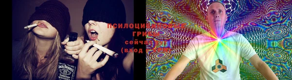 мяу мяу мука Богородск